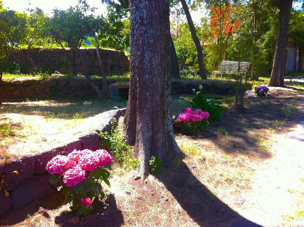 Villa Bonaccorso - Antica E Maestosa Villa Con Piscina Ai Piedi Dell'Etna Виагранде Экстерьер фото